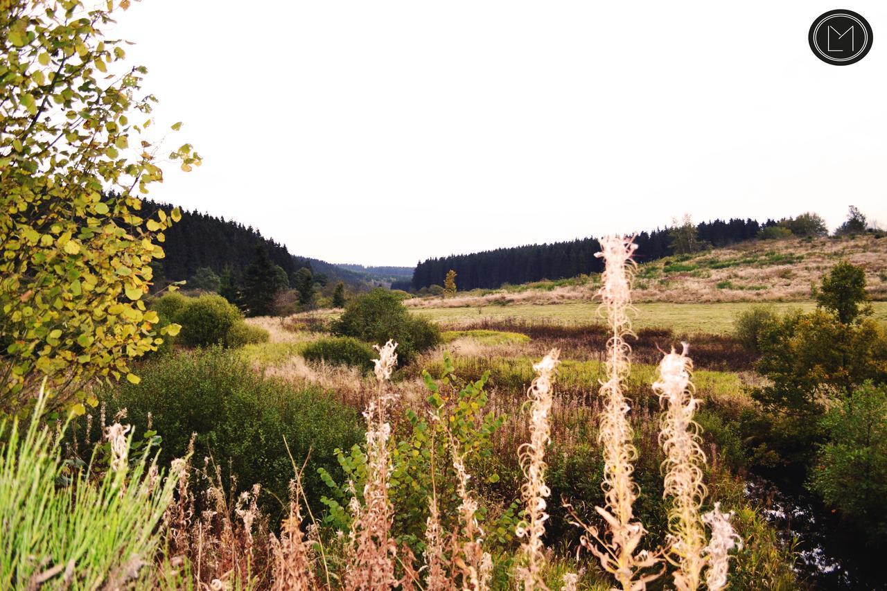 Chalet Le Forestier บููล็องจ์ ภายนอก รูปภาพ