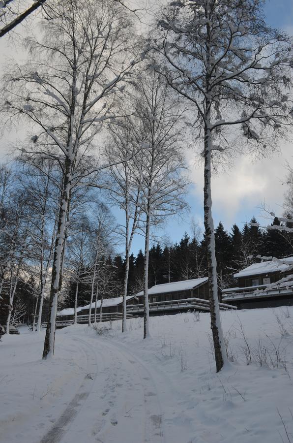 Chalet Le Forestier บููล็องจ์ ภายนอก รูปภาพ